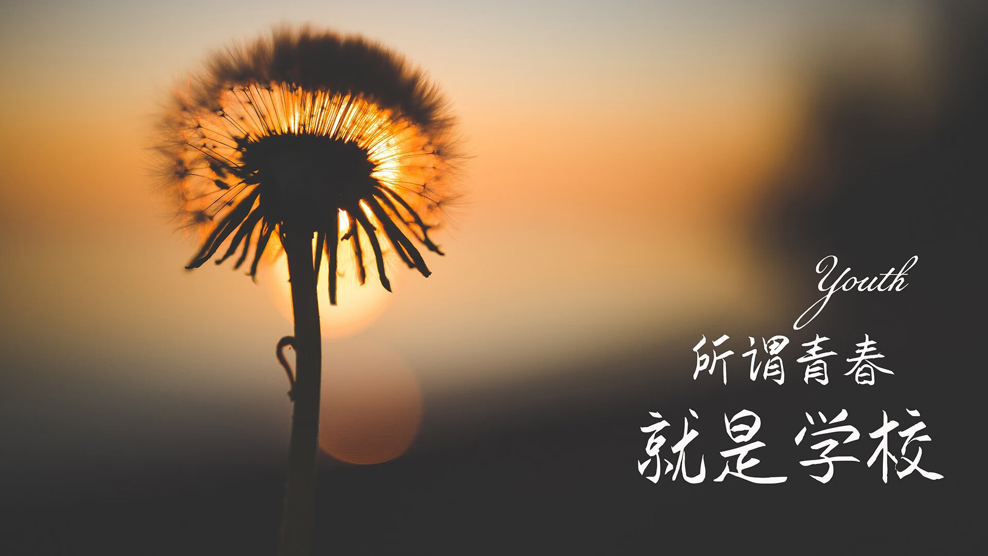 开云·Kaiyun网页版-日本爱知县知事大村秀章出席闭幕式，接棒2026年亚运会主办权。，日本爱知县旅游攻略