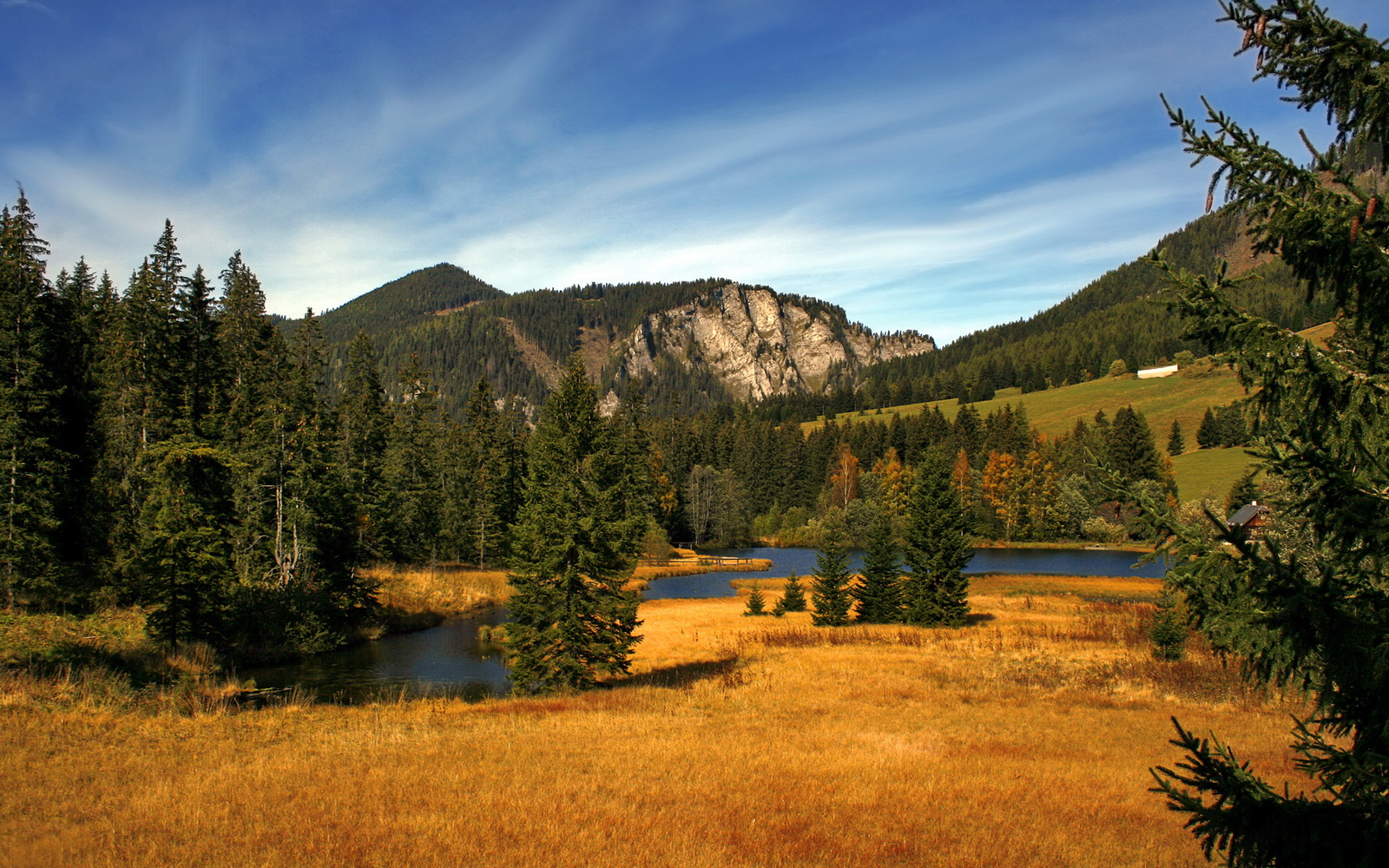 kaiyun中国官方网站-解析埃及赛制：如何让更多本土选手走向世界，埃及下一场比赛会赢吗