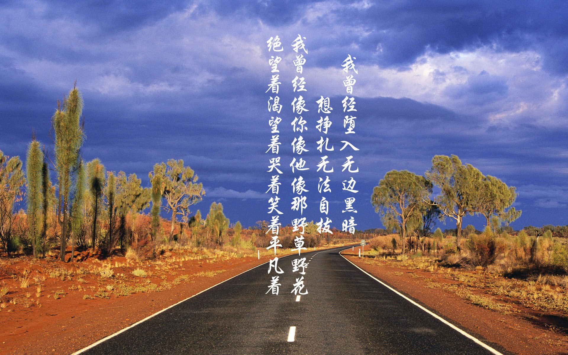 KAIYUNAPP-世界杯期间的球员健康管理，世界杯参赛球员要求