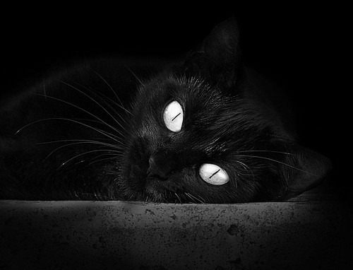 中国足球青训中心建设标准对外发布包含软硬件要求，全国足球青训机构排名