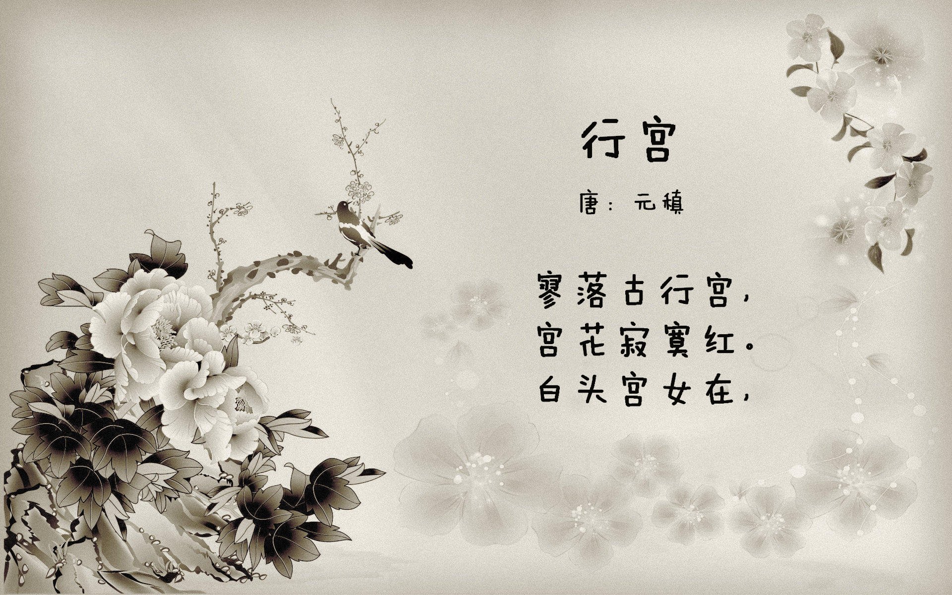 皮特·斯图斯带领南非队成功防守,实力展现无遗,斯图皮特2021