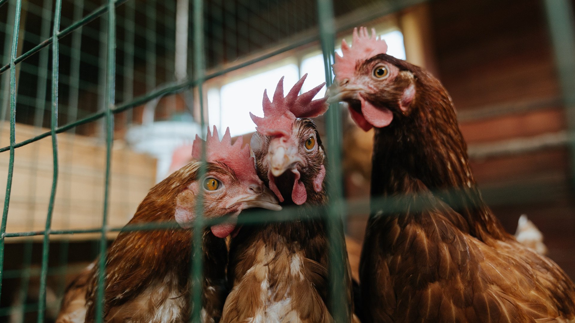 kaiyun开云·官方网站-综合实力突破仍需系统持续投入，综合实力全面提升