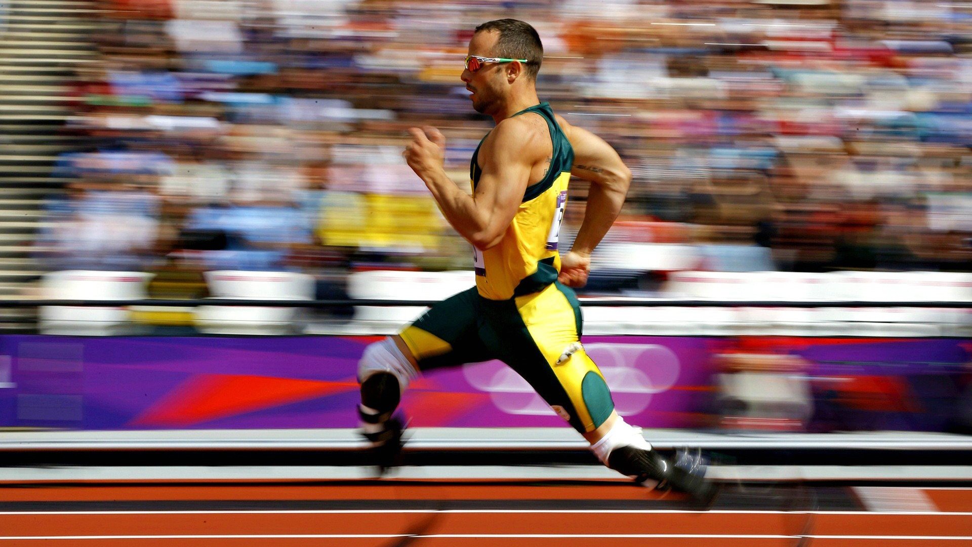 城市体育空间规划对居民参与行为的影响,城市公共体育空间的布局原则包括